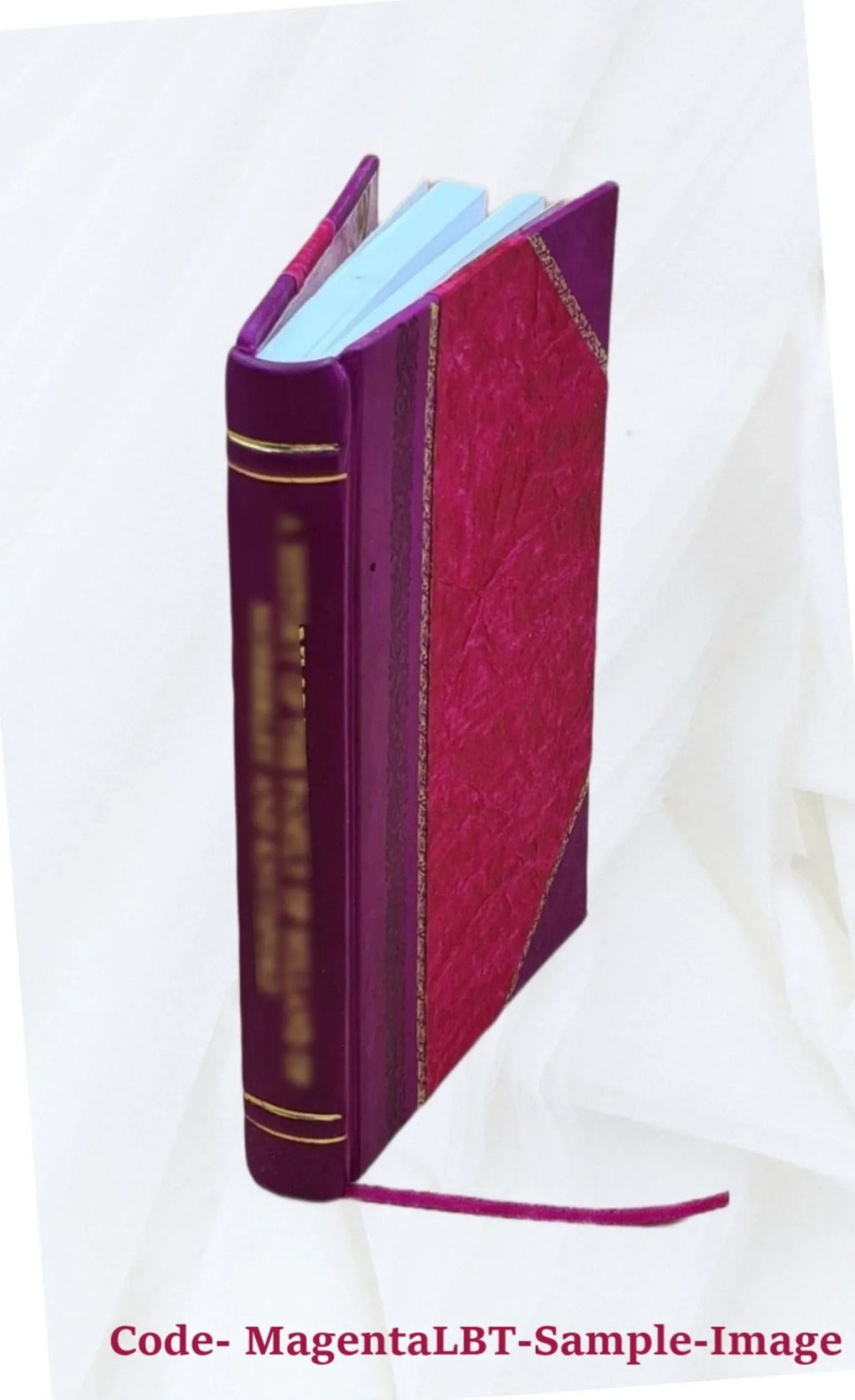 Mémoire sur les eaux de Paris : projet de distribution générale / par Gabriel Grimaud de Caux,... ; monument hydraulique et... dessinés par Adrien Dauzats 1860 [Leather Bound]