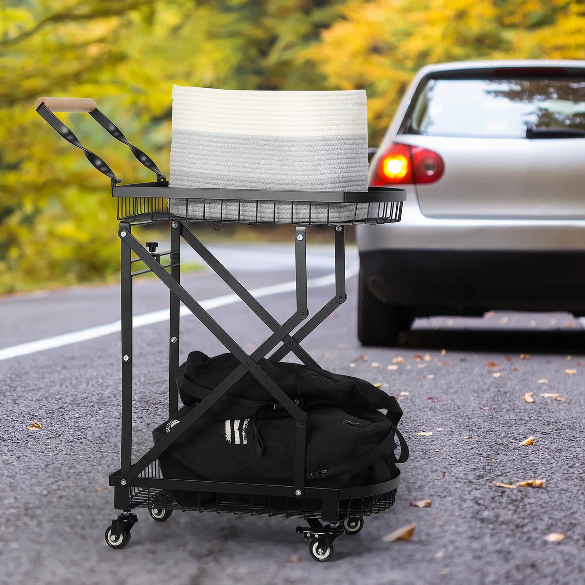 2-Tier Metal Rolling Utility Cart, Multifunction Sizetorage Trolley