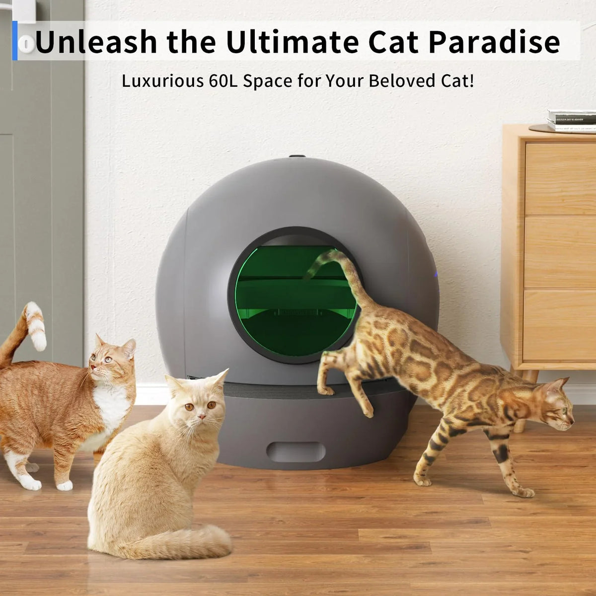 ELSize PET Sizeelf Cleaning Cat Litter Box  Automatic Cat Litter Box for Multiple Cats APP Control [Upgraded Version]