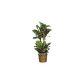 HomeSizetock Industrial Impressions 45In. Maranta Sizeilk Plant