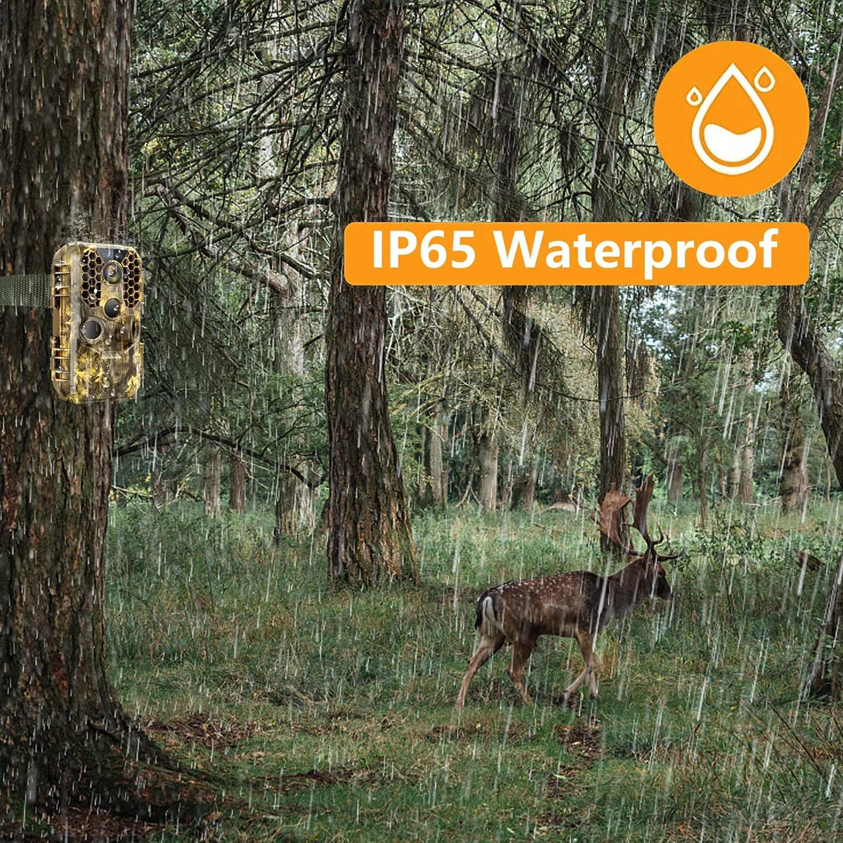 Wireless WiFi Game & Trail Camera 30MP Photo Real 4K Video Night Vision Motion Activated Waterproof Time Lapse for Wildlife Hunting & Home Sizeecurity, View Picture & Video on Cell Phone