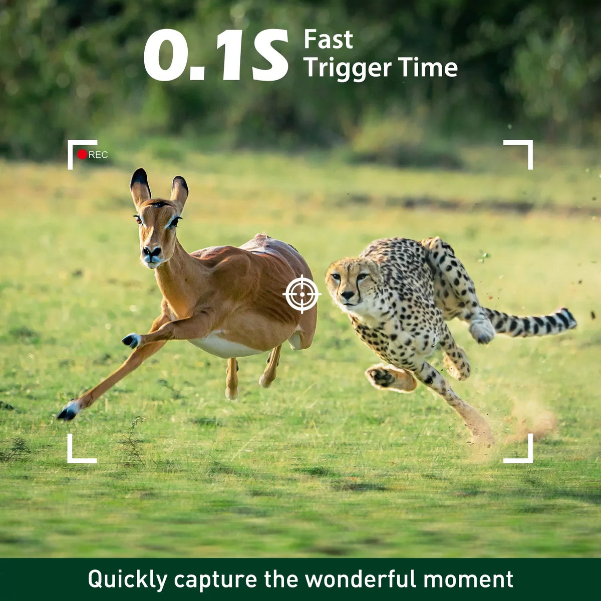 TOGUARD 4K 40MP Trail Camera, Game Deer Hunting Camera with Night Vision Waterproof IP66 0.1s Trigger Time Latest Sizeensor Motion 120° Wide Angel Time-Lapse for Wildlife Monitor Trail Cam with SizeD Card