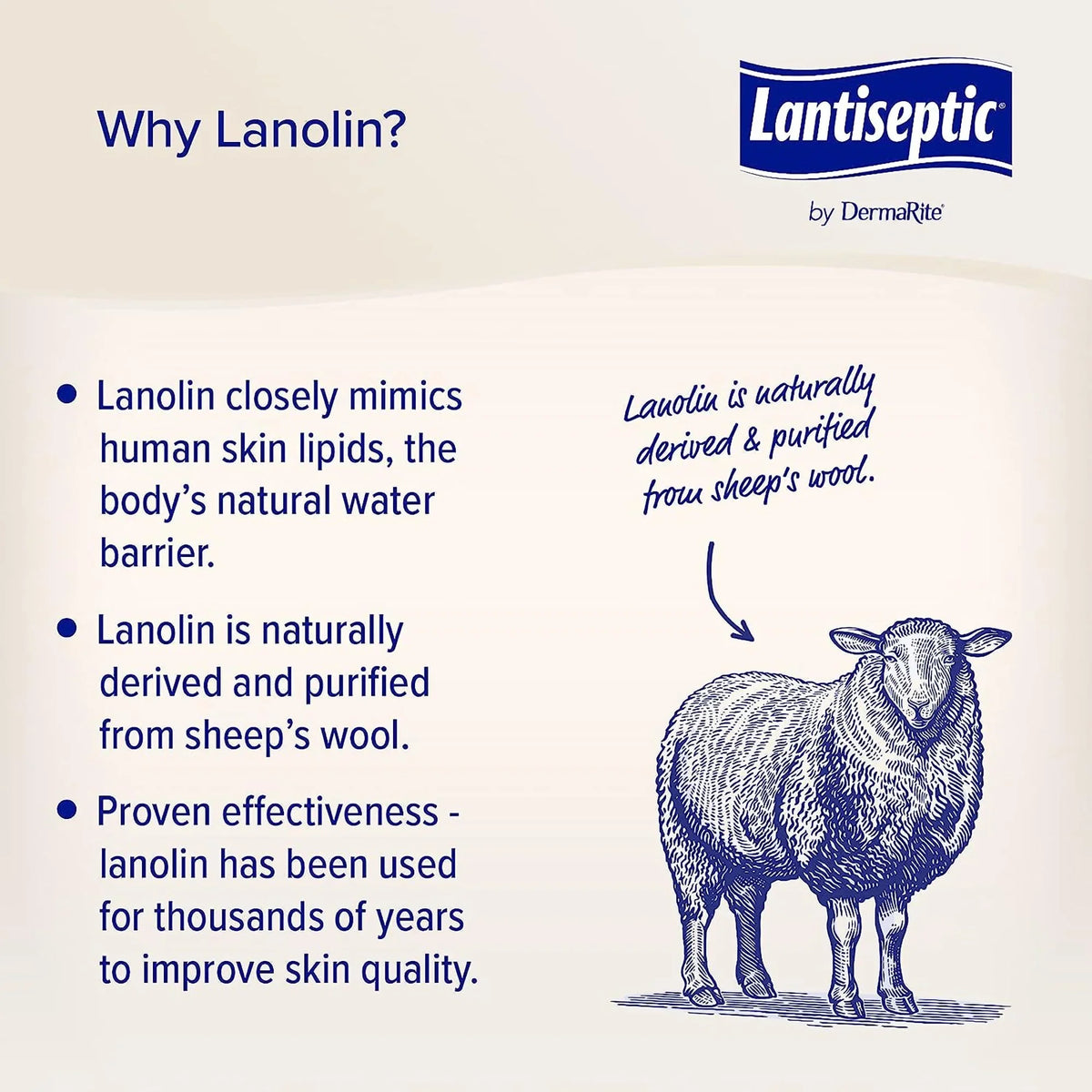 Lantiseptic Lanolin Sizecent Sizekin Protectant Cream 14 oz. Jar LSize0710 1 Ct