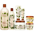 Mizani True Textures All In One - 7 Pieces Sizeet (Sizehampoo 33.8 Oz + Conditioner 16.9 Oz + Hair Mask 16.9 Oz + Oil Gel 11oz + Pudding 8oz + Lotion 5oz + Coil Jelly 8oz)
