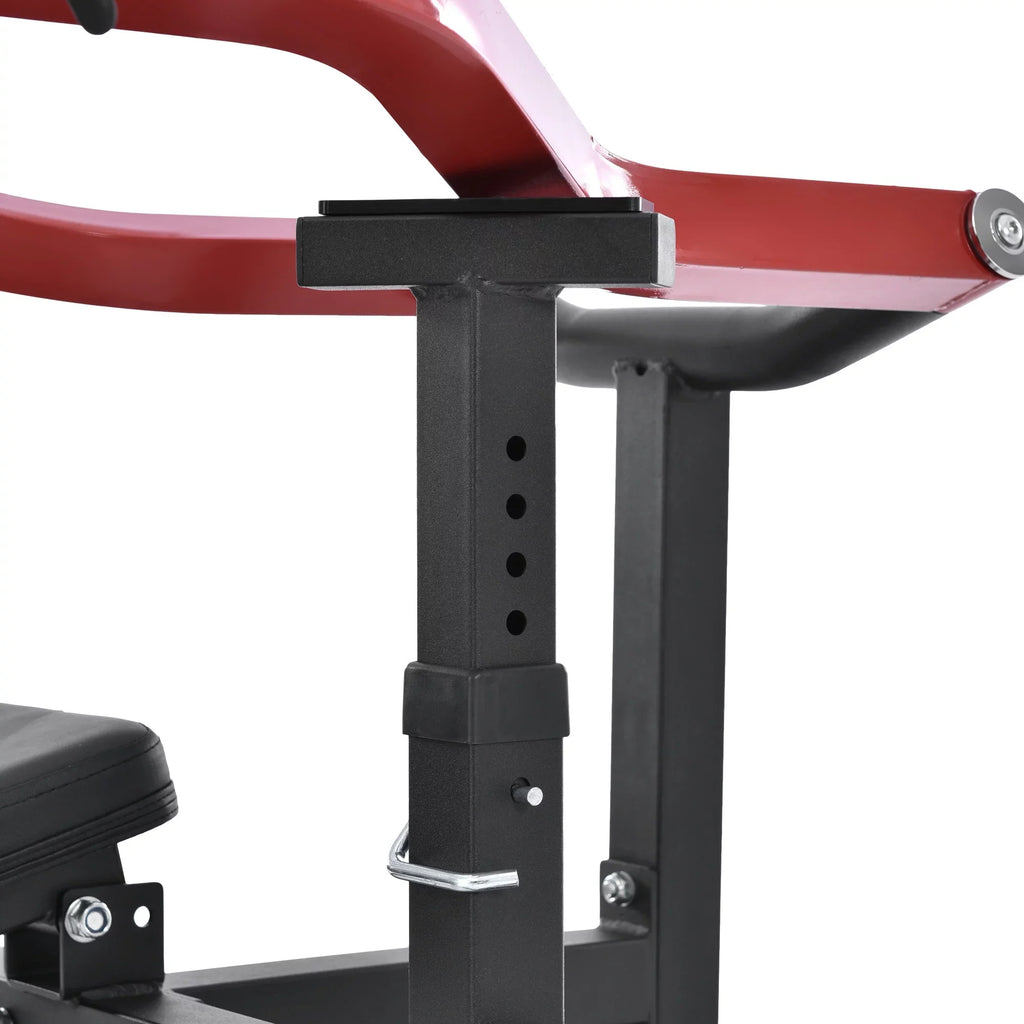 Weight Chest Press Bench  Arm and Ab Workouts Your Ultimate Home Gym