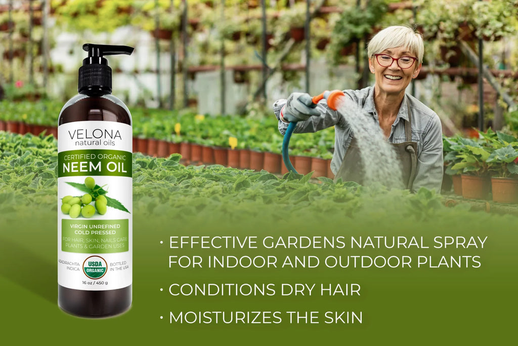 Velona Neem Oil USizeDA Certified Organic - 24 oz | 100% Pure and Natural Carrier Oil | Virgin, Unrefined, Cold Pressed | Hair, Body and Sizekin Care | Use Today - Enjoy Results