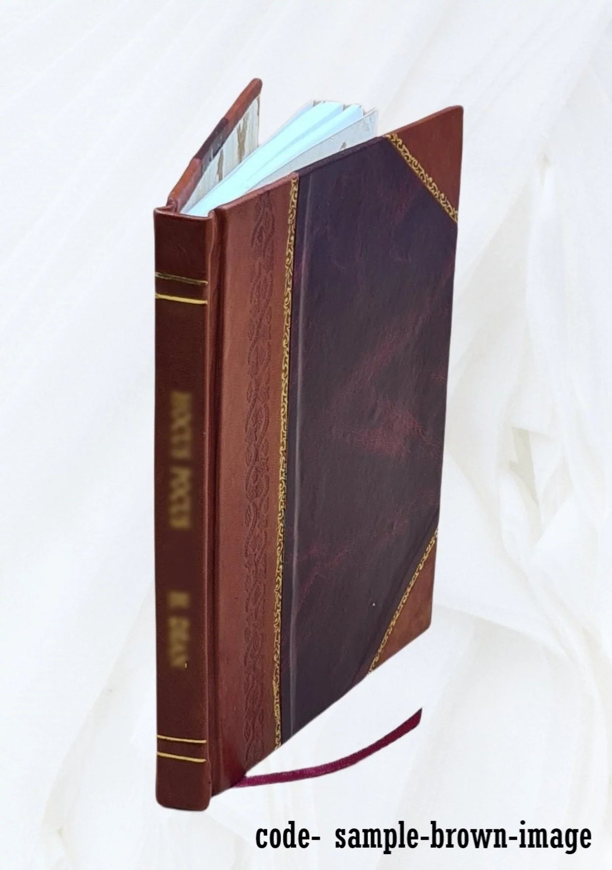 Contes bleus 1900 [Leather Bound]