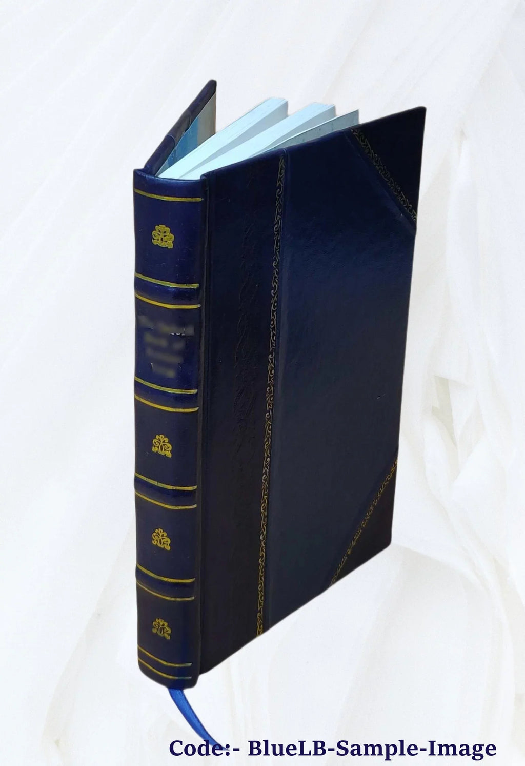 En rade 1887 [Leather Bound]