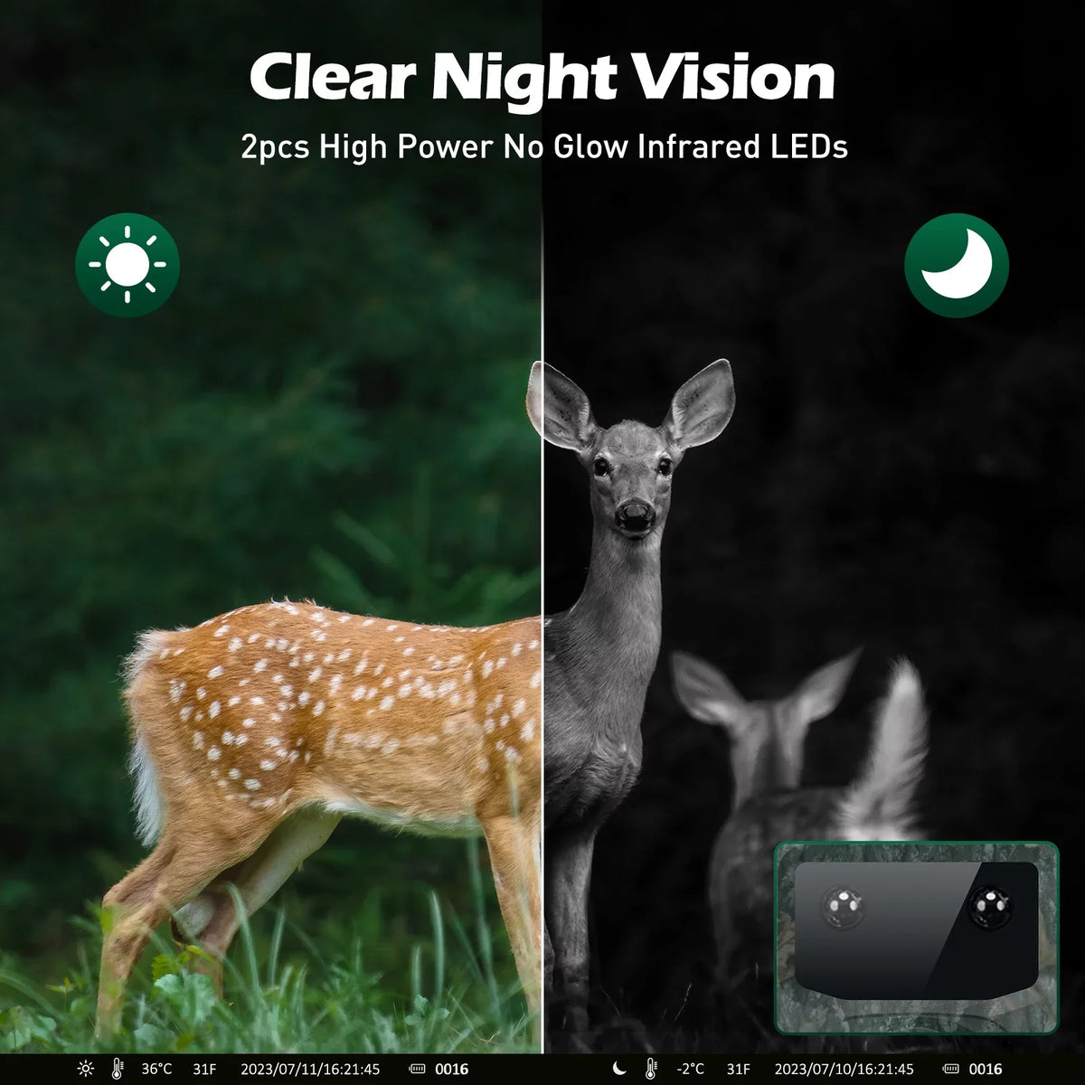 TOGUARD 4K 40MP Trail Camera, Game Deer Hunting Camera with Night Vision Waterproof IP66 0.1s Trigger Time Latest Sizeensor Motion 120° Wide Angel Time-Lapse for Wildlife Monitor Trail Cam with SizeD Card