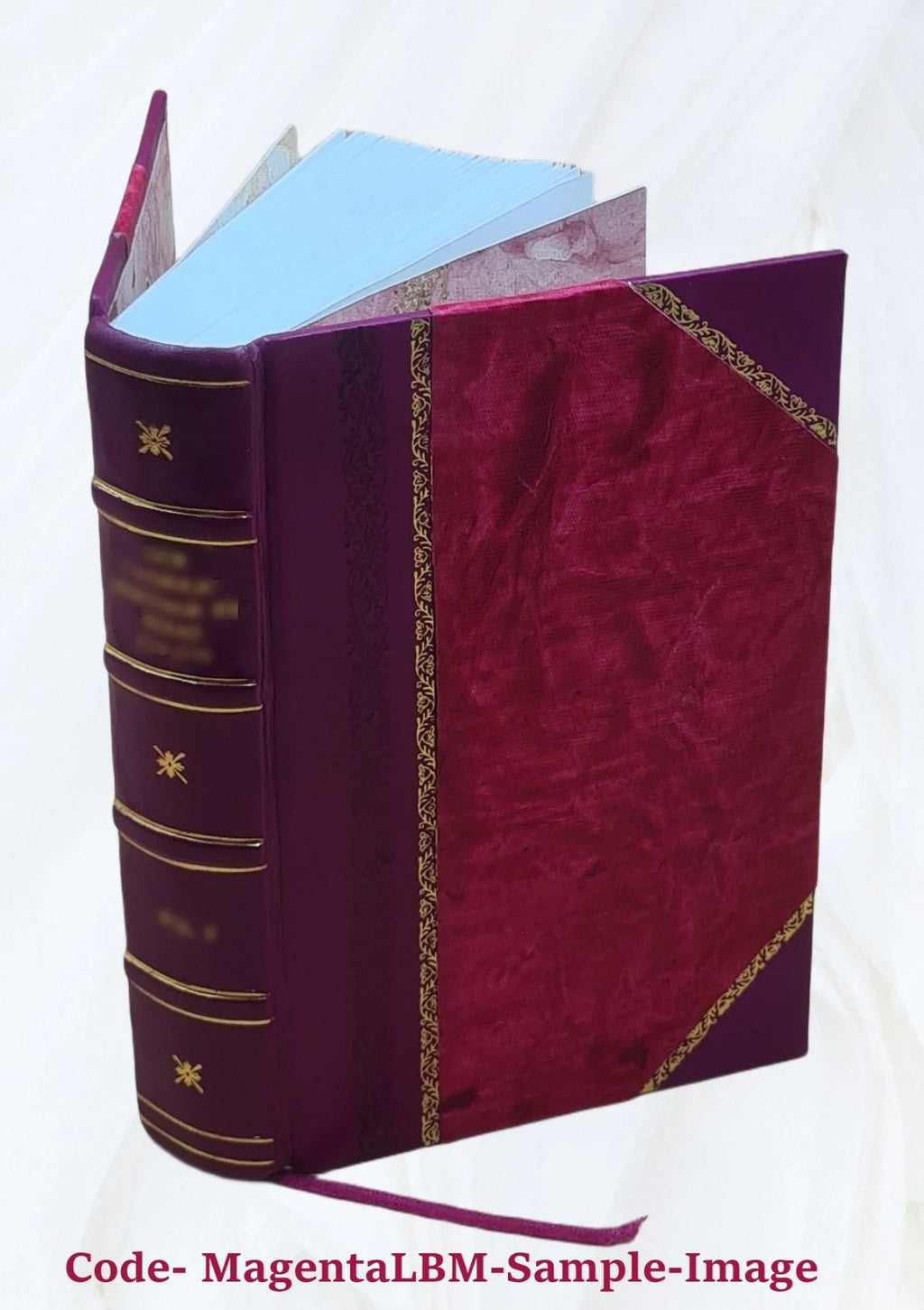Historiae Romanae libri 35 superstites. With notes by John Walker. University Press ed., to which is now added the Vatican fragment of Book 91 Volume 1 1862 [Leather Bound]