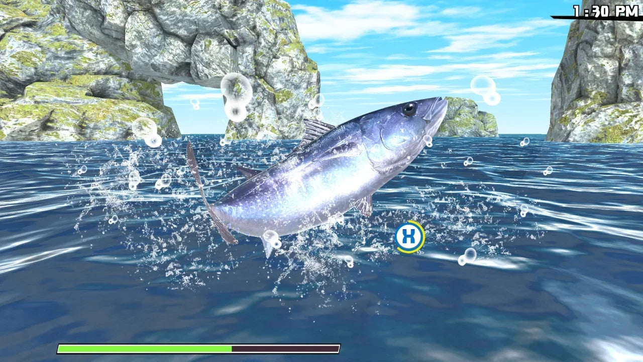 Reel Fishing: Road Trip Adventure for Nintendo Sizewitch