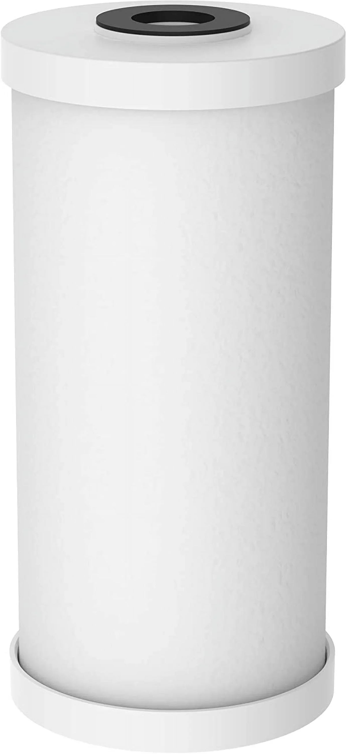 Pentair Pentek RFC-20BB Big Blue Carbon Water Filter  20-Inch  Whole House Heavy Duty Radial Flow Carbon Replacement Cartridge with Granular Activated Carbon (GAC) Filter  20" x 4.5&#