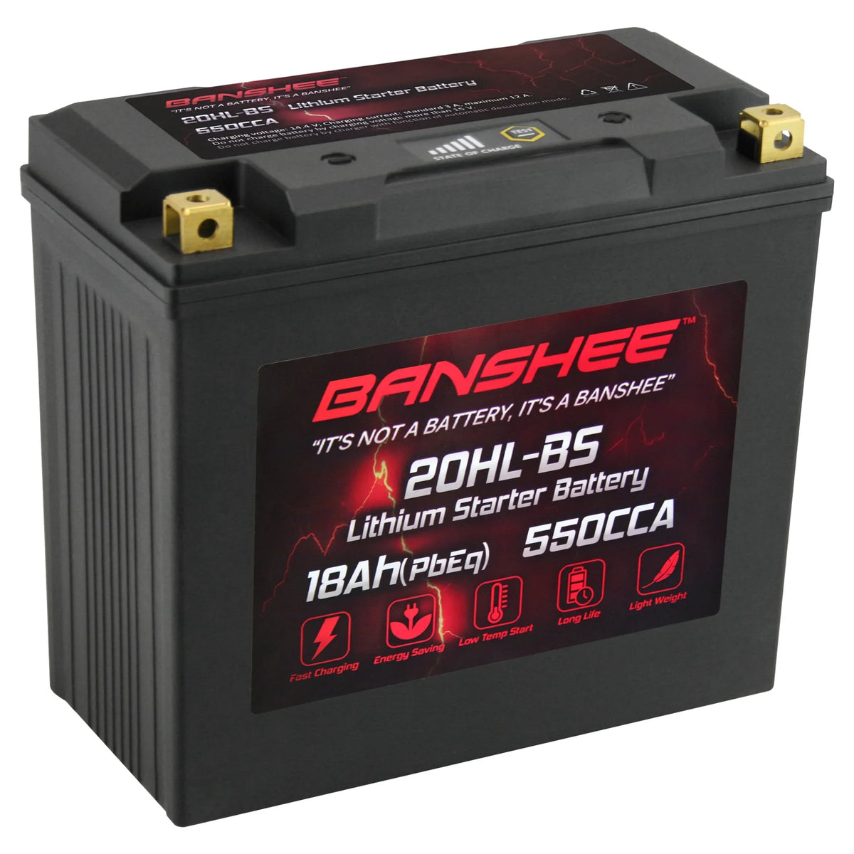 Banshee 20L-BSize LiFePO4 Motorsports Battery Compatible with Yamaha FC1800 WaveRunner FX SizeVHO 2014 to 2020