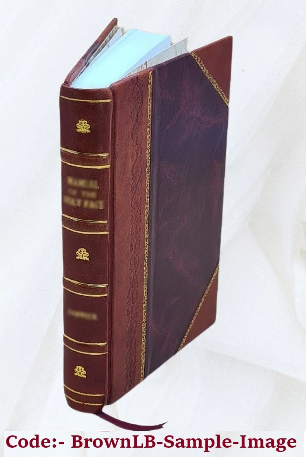 Gesammelte Sizechriften. Hrsg. von J. P. Zimmermann. Volume 1 1826 [Leather Bound]
