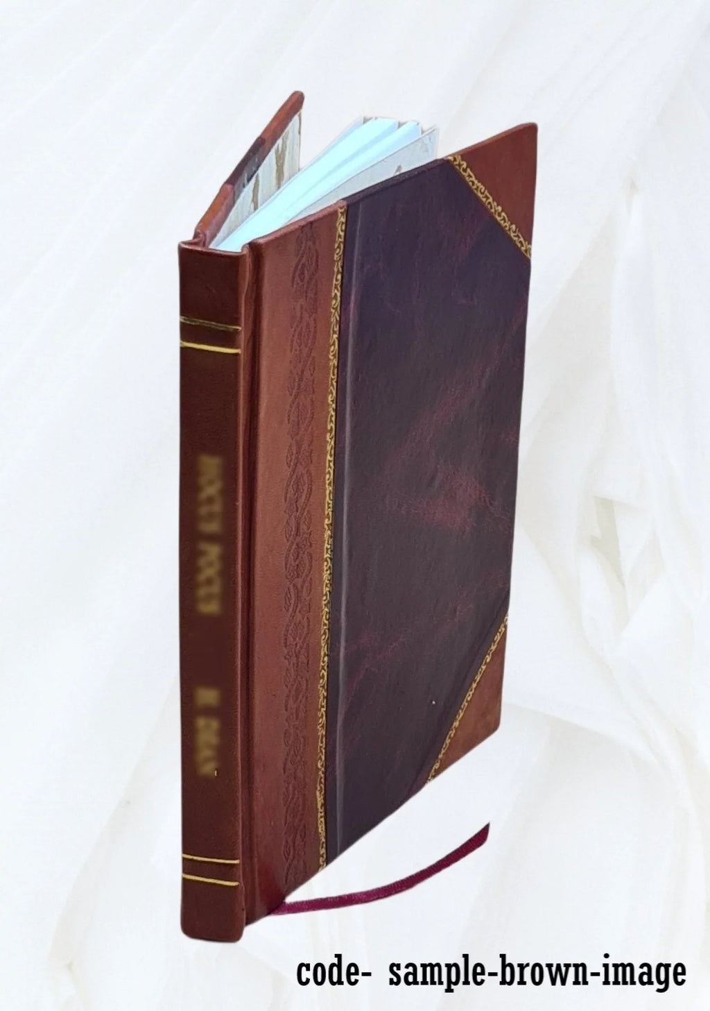 Petite histoire de Gene̲ve. 1917 [Leather Bound]