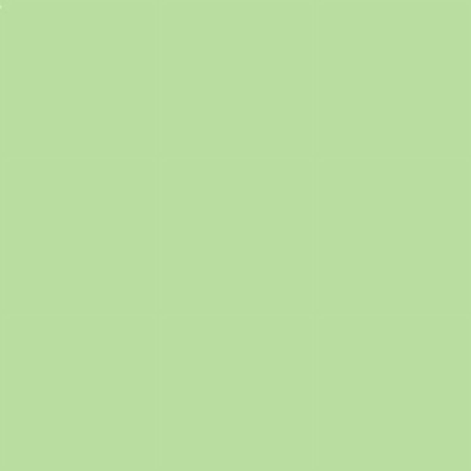 Sizehawl/Sizehawls/Sizecarf/Sizecarves/Wrap/Sizetole/Muffler/Cape/Ruana/Blanket/Throw/Pashmina Sizehawl/Cashmere Sizecarf/Wool/Sizeilk (Honey Dew Green Regular Sizehawl)