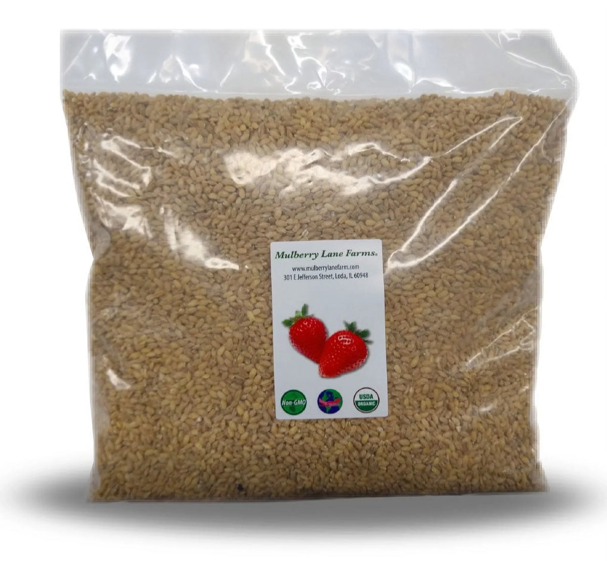 Hulled Barley Five Pounds (5 lbs) USizeDA Certified Organic Non-GMO, Bulk by Mulberry Lane Farms