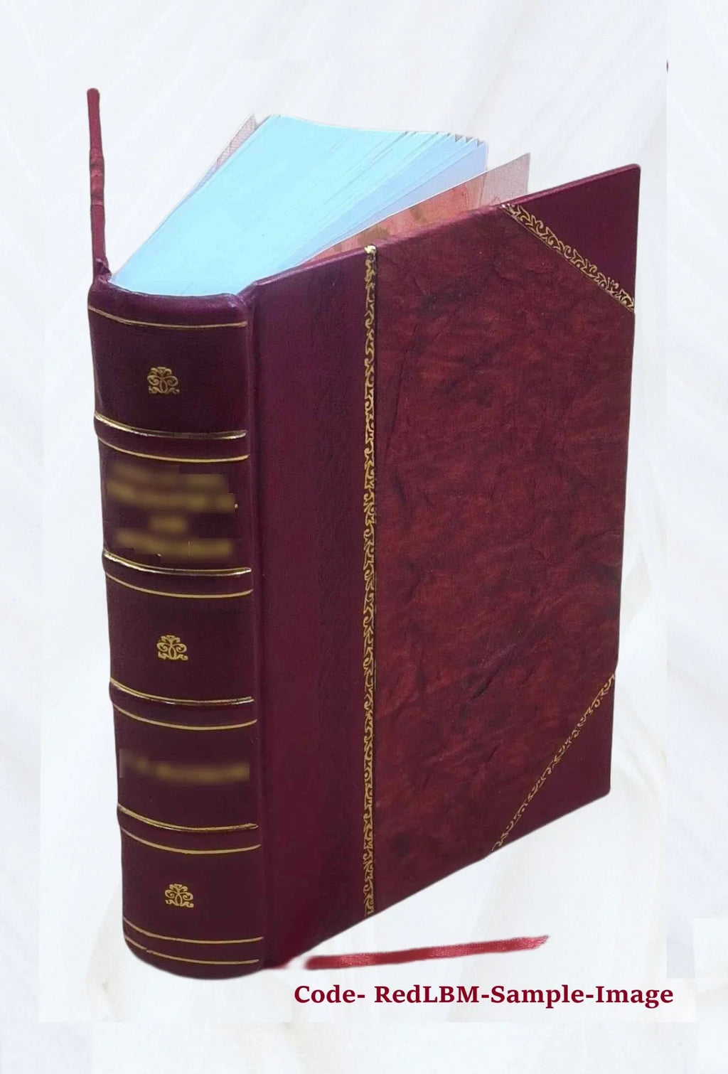 De Hispanorum primogeniis libri quatuor / authore Ludouico de Molina ... 1573 [Leather Bound]
