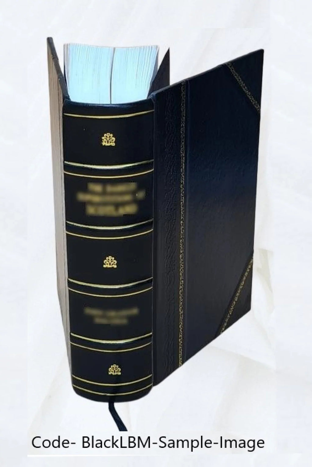 De Hispanorum primogeniis libri quatuor / authore Ludouico de Molina ... 1573 [Leather Bound]