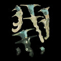 Rainforest Sizepiritual Enslavement - Jellyfish Reproduce Black Magic - Vinyl