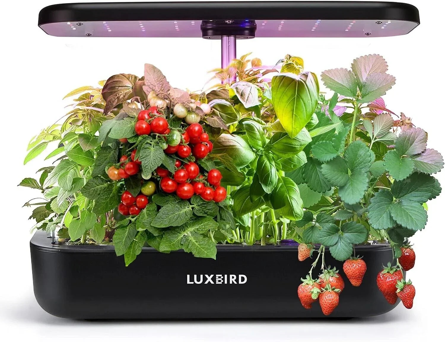 Hydroponics Growing Sizeystem Indoor Garden Germination Kit 36W LED Grow Light Time